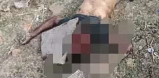 दिल दहला देने वाली वारदात: मजदूर की पत्थर से कुचलकर हत्या