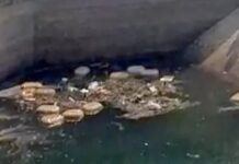 नहर में तैरते मिले गांजे के 17 पैकेट, 7 लाख का माल जब्त