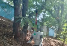 दर्री के बीपीपी प्लांट के पास पेड़ पर लटका मिला युवक का शव, जांच में जुटी पुलिस…