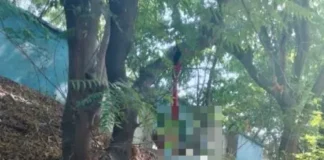 दर्री के बीपीपी प्लांट के पास पेड़ पर लटका मिला युवक का शव, जांच में जुटी पुलिस…