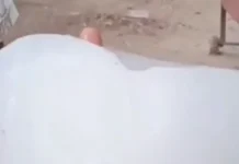 घंटाघर चौपाटी में जूस की बर्फ से निकला मेंढक, लोगों में हड़कंप… खाद्य विभाग से जांच की मांग