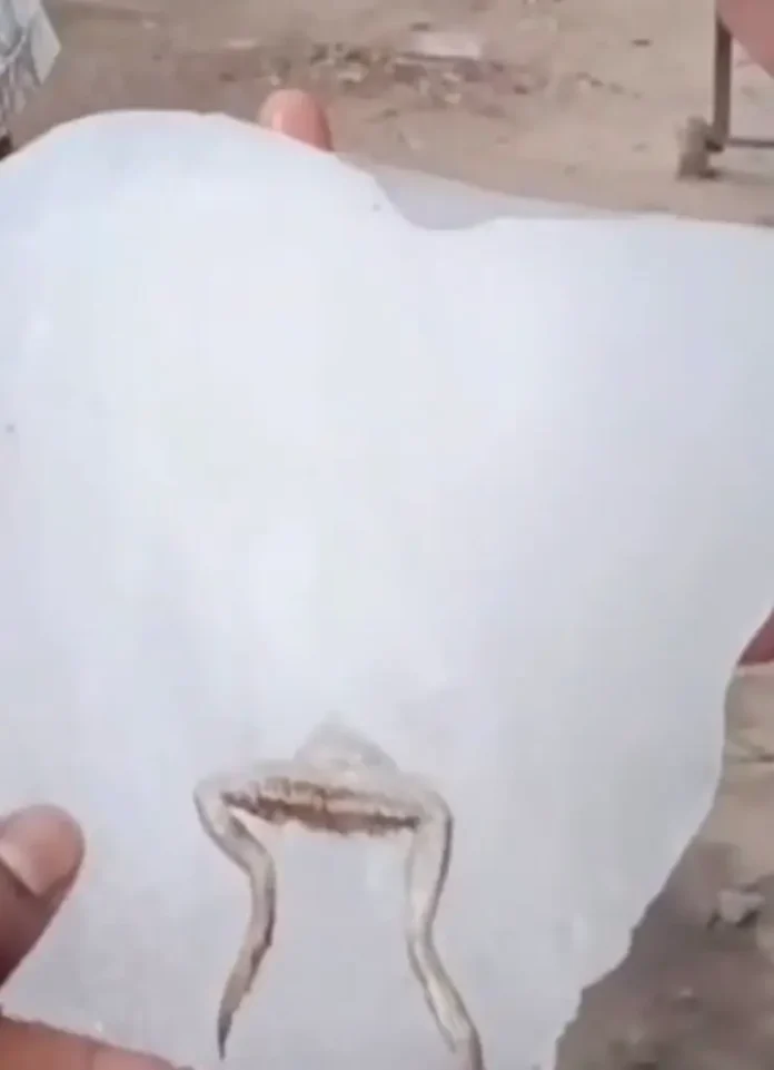 Screenshot_20260404_145152_Gallery-1-742x1024