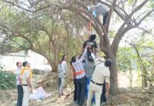 कुक ने पेड़ पर लगाई फांसी, पत्नी से विवाद के बाद उठाया कदम