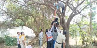 कुक ने पेड़ पर लगाई फांसी, पत्नी से विवाद के बाद उठाया कदम