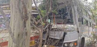 NH-30 पर बस-ट्रक की आमने-सामने टक्कर, 12 से ज्यादा यात्री घायल, चालक फंसा