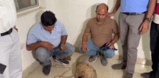 50 करोड़ के पैंगोलिन की तस्करी का पर्दाफाश, दो आरोपी गिरफ्तार