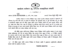 लापरवाही पड़ी भारी, राजस्व निरीक्षक निलंबित; कलेक्टर बोले – समय पर काम नहीं करने वालों को नहीं बख्शेंगे