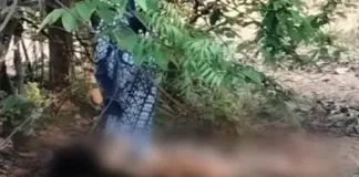 डैम के पास जंगल में युवती का अर्धनग्न शव मिला: पत्थर से कुचला चेहरा, गले पर धारदार हथियार के निशान