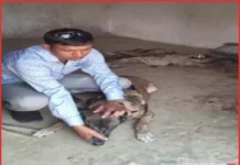 शराब के नशे में बेटे ने मां की ली जान, मासूम बेटी पर भी बरपाया कहर