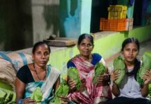 हरा सोना’ बना रामपुर की समृद्धि का आधार, शासन की योजना से कारी बाई और खेमबाई को मिला प्रत्यक्ष लाभ