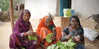 तेज धूप और थकान में भी हरा सोना से मिलती है राहत