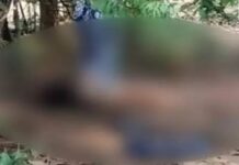 वकील युवती की नृशंस हत्या: तुमीडीह डैम के जंगल में अर्धनग्न शव मिला, चेहरा कुचला