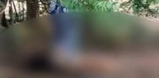 वकील युवती की नृशंस हत्या: तुमीडीह डैम के जंगल में अर्धनग्न शव मिला, चेहरा कुचला