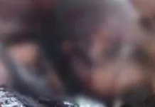 भूतहिया नाला के पास मिला अज्ञात युवक का शव, हत्या की आशंका से इलाके में सनसनी