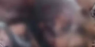 भूतहिया नाला के पास मिला अज्ञात युवक का शव, हत्या की आशंका से इलाके में सनसनी