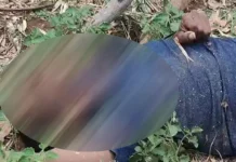 बॉर्डर पर मिला युवक का शव, हत्या की आशंका से मचा हड़कंप…