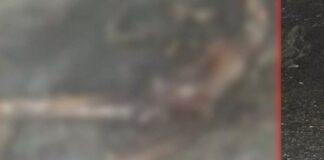 भीषण टक्कर के बाद वाहनों में लगी आग, एक चालक की दर्दनाक मौत
