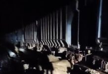 मालगाड़ी की टक्कर से जख्मी हुआ हाथी, बचाव कार्य में जुटी वन विभाग की टीम