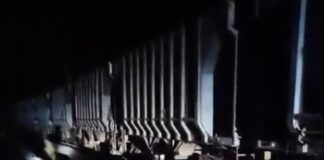 मालगाड़ी की टक्कर से जख्मी हुआ हाथी, बचाव कार्य में जुटी वन विभाग की टीम