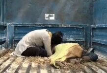 प्रेम प्रसंग की रंजिश में युवक की बेरहमी से हत्या, चार संदिग्ध हिरासत में