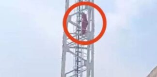 प्रेमी की शादी की खबर से नाराज नाबालिग चढ़ी मोबाइल टॉवर पर, तीन घंटे चला हाई-वोल्टेज ड्रामा