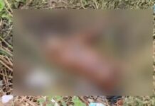 होटल के सामने मिला सड़ा-गला शव, पहचान में जुटी पुलिस…