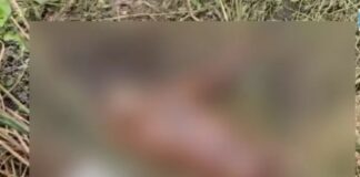 होटल के सामने मिला सड़ा-गला शव, पहचान में जुटी पुलिस…
