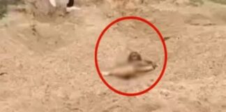 रेत में दबी मिली युवती की लाश, हत्या की आशंका से इलाके में हड़कंप…