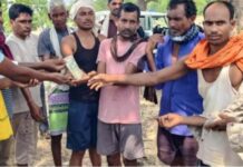 महुआ बीनने गई बुजुर्ग महिला पर हाथी का हमला, मौके पर मौत, गांव में दहशत…