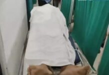 मोहर्रम जुलूस में बड़ा हादसा: हाईटेंशन लाइन से ताजिया टकराया, युवक की मौत, 7 घायल