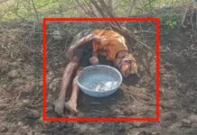 झूलते बिजली तार ने ली किसान की जान, खेत की फेंसिंग में दौड़ा करंट; ग्रामीणों का बिजली विभाग पर फूटा गुस्सा
