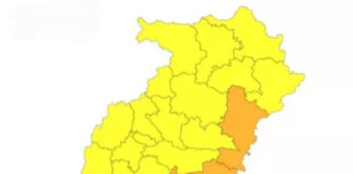छत्तीसगढ़ में मानसून ने पकड़ी रफ्तार, अगले 48 घंटे भारी बारिश का अलर्ट