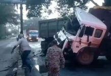 दो बड़े सड़क हादसे: हाइवा होर्डिंग से टकराई, ट्रेलर ने 10 मवेशियों को रौंदा