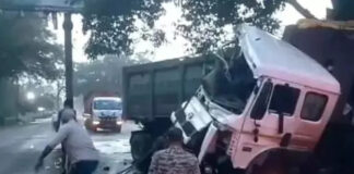 दो बड़े सड़क हादसे: हाइवा होर्डिंग से टकराई, ट्रेलर ने 10 मवेशियों को रौंदा
