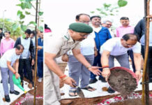‘एक पेड़ माँ के नाम’ अभियान से जुड़ा चिंतन शिविर, मुख्यमंत्री साय ने किया पौधरोपण