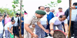 ‘एक पेड़ माँ के नाम’ अभियान से जुड़ा चिंतन शिविर, मुख्यमंत्री साय ने किया पौधरोपण
