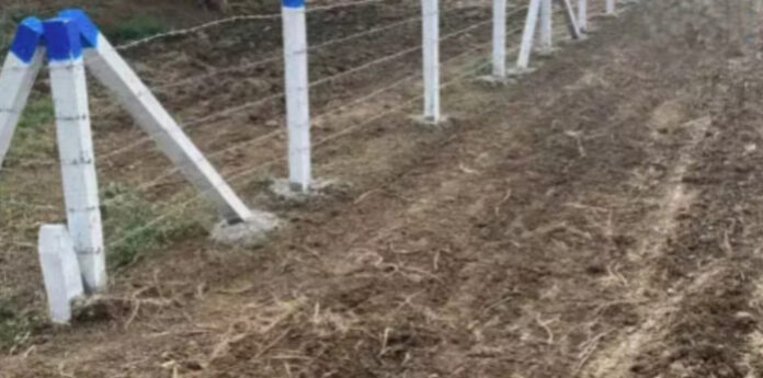 InShot_20260710_110814220