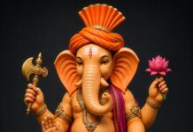 महानदी कॉम्प्लेक्स निहारिका में कमल पुष्प पर विराजेंगे गणपति, भव्य गणेशोत्सव की तैयारियां तेज