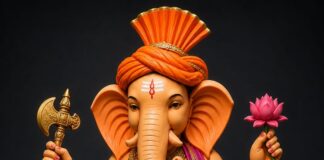 महानदी कॉम्प्लेक्स निहारिका में कमल पुष्प पर विराजेंगे गणपति, भव्य गणेशोत्सव की तैयारियां तेज