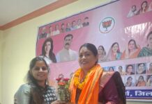 भाजपा महिला मोर्चा की परिचयात्मक बैठक एवं हरेली उत्सव में दिखी छत्तीसगढ़ी संस्कृति की झलक