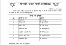भाजपा ने मोर्चों के लिए तय किए नए प्रभारी, वैभव बैस को युवा मोर्चे की कमान