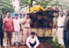 भुलसीडीह जंगल में सागौन की अवैध कटाई का मामला, 26 लट्ठों से भरी पिकअप जब्त; वन विभाग की निगरानी पर उठे सवाल