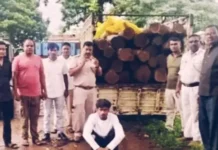 भुलसीडीह जंगल में सागौन की अवैध कटाई का मामला, 26 लट्ठों से भरी पिकअप जब्त; वन विभाग की निगरानी पर उठे सवाल