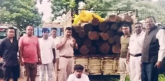 भुलसीडीह जंगल में सागौन की अवैध कटाई का मामला, 26 लट्ठों से भरी पिकअप जब्त; वन विभाग की निगरानी पर उठे सवाल