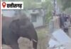 हाथी का हमला, भैंस चराने गए ग्रामीण की मौत; इलाके में दहशत