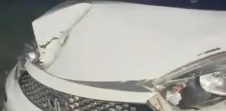 कोरबा में देर रात दो सड़क हादसे, गौवंश की मौत से लेकर कई लोगों के घायल होने तक मचा हड़कंप