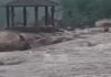 देवपहरी जलप्रपात में फंसे तीन युवकों को 15 घंटे बाद सुरक्षित निकाला, रातभर टापू पर बितानी पड़ी रात