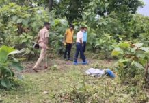 जंगल में महिला की हत्या का खुलासा, एक आरोपी गिरफ्तार; दूसरा फरार