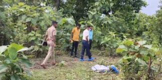 जंगल में महिला की हत्या का खुलासा, एक आरोपी गिरफ्तार; दूसरा फरार