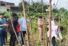 रायगढ़ में युवक की बेरहमी से हत्या, पुराने बस डिपो में मिली लाश; संदिग्धों की तलाश तेज